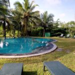 sigiriya nature park hotel pool