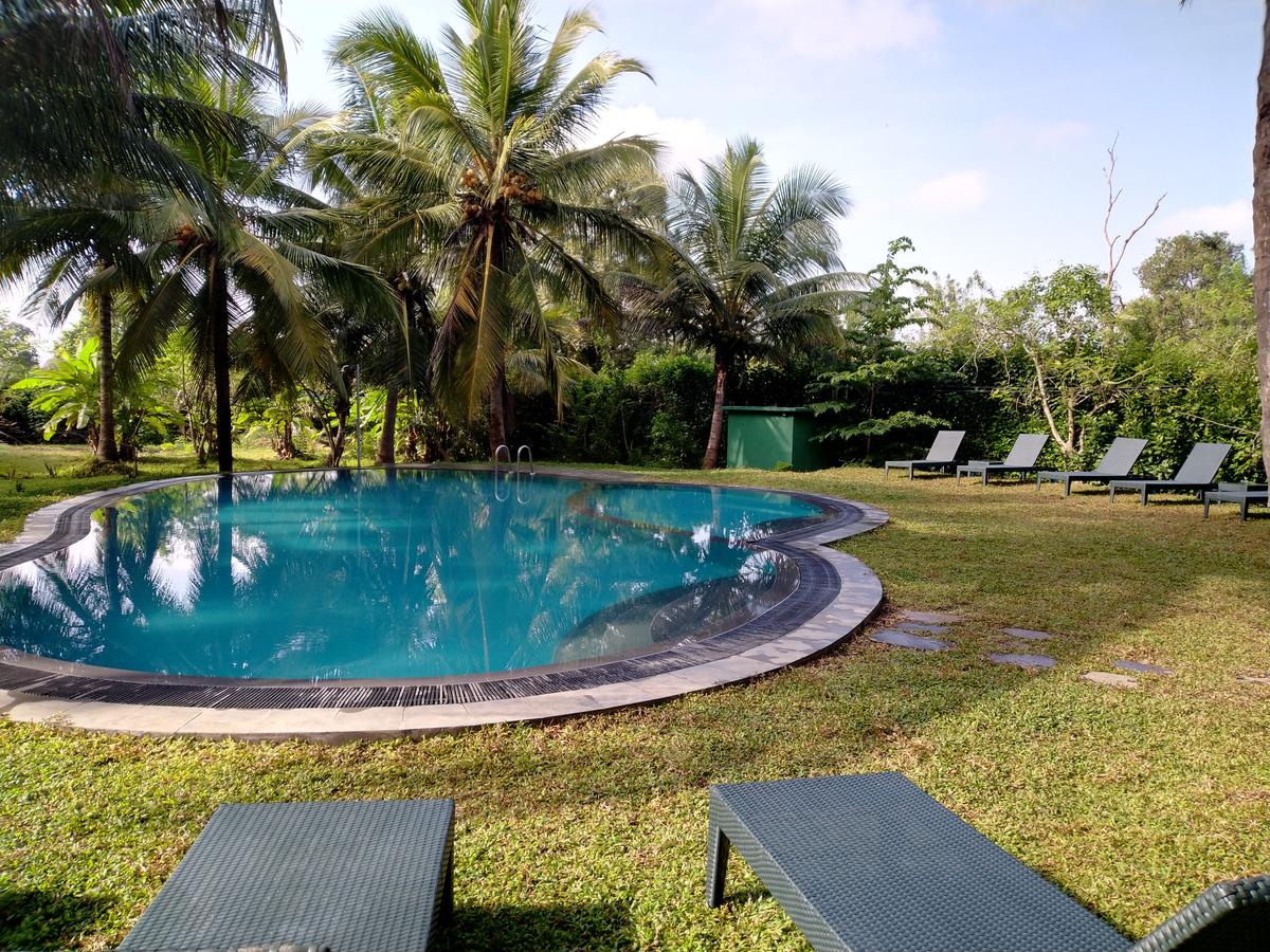 sigiriya nature park hotel pool
