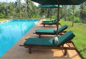 sri-lanka-spa-jims-farm-villas-pool