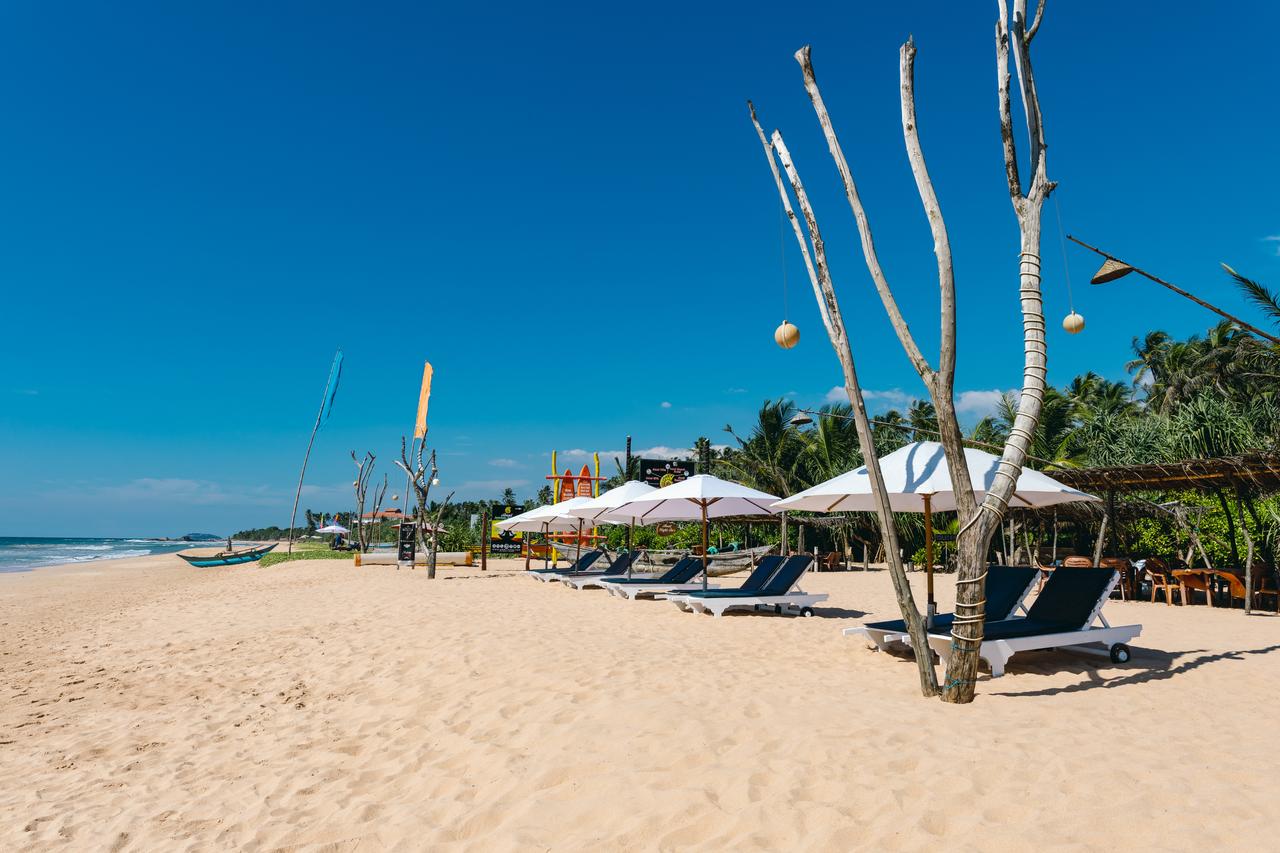 amal beach hotel bentota sri lanka